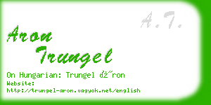 aron trungel business card